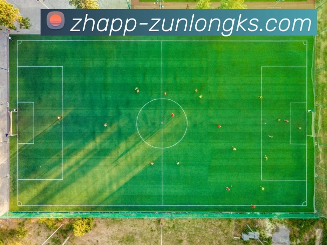 App Interface Preview