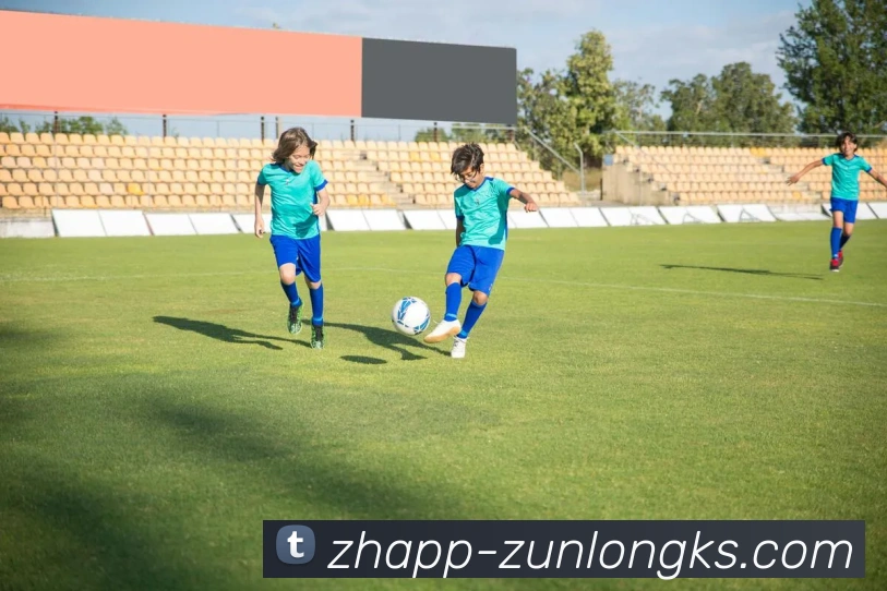 尊龙凯时官网APP 封面图